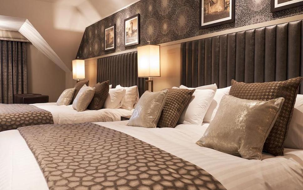 Hotel Tulip Near Delhi Airport New Delhi Rom bilde